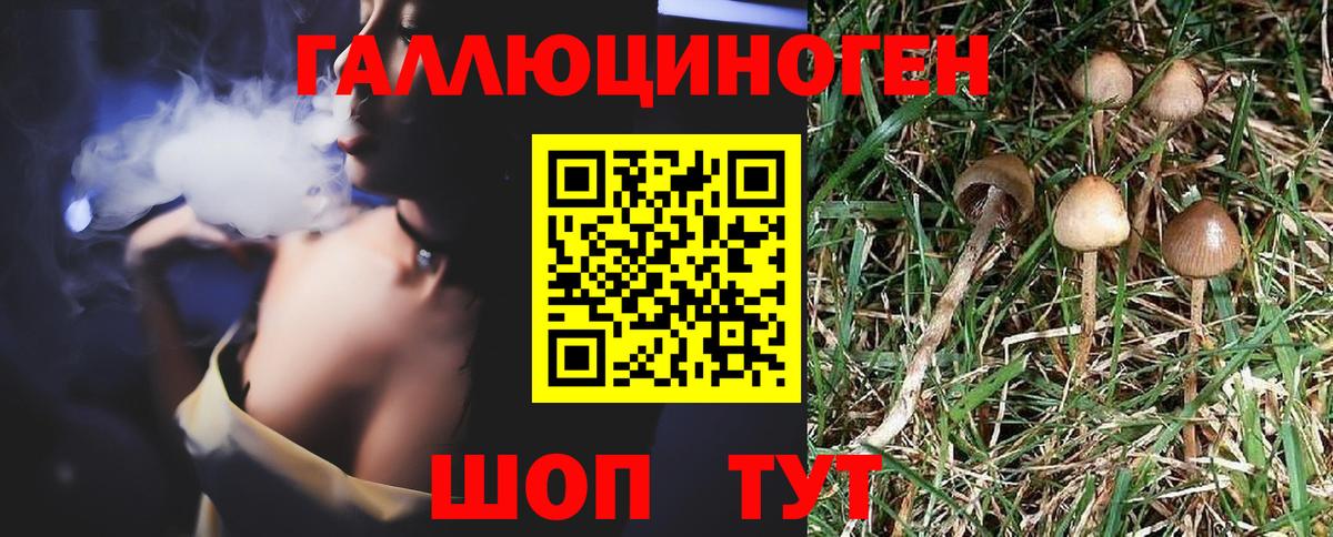 как найти наркотики  Псилоцибиновые грибы Psilocybe  Вход с VPN  Галлюциногенные грибы мицелий  Рубцовск 